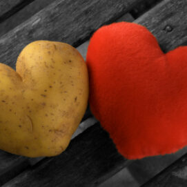 Perfect potato heart with a red heart on a gray rustic wood background, contain a path
